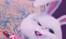 软萌兔兔酱今日爆料,揭秘娱乐圈幕后真相